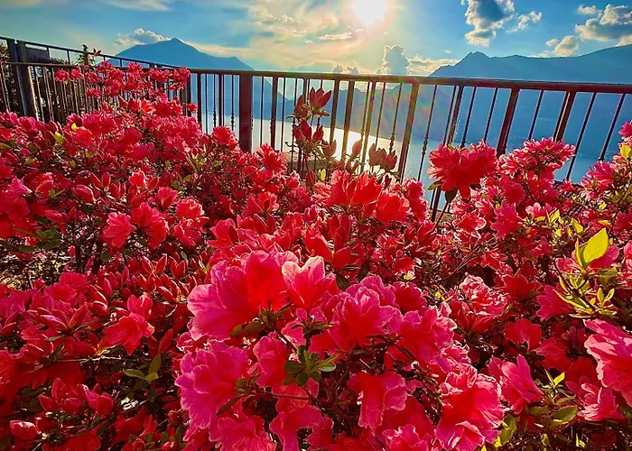 Residenza Gelsomino - Relax And View