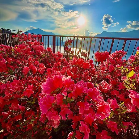 Residenza Gelsomino - Relax And View